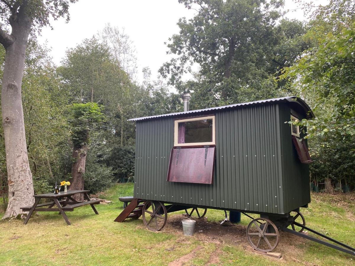 The Shepherd'S Hut - Wild Escapes Wrenbury Off Grid Glamping - Ages 12 And Over Baddiley Exterior foto